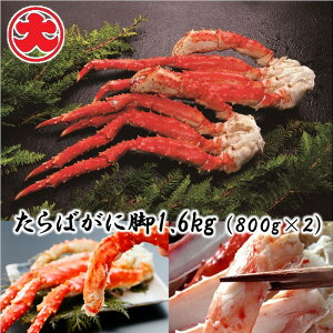 yӂ邳Ɣ[Łz ΂ɋr 800g × 2P ( v 1.6kg )  ^o ^oKj ΊI ^oI  Jj I  O CN {C 䥂ŊI 䥂ł 䥂ŃKj kC s ӂ
