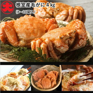 yӂ邳Ɣ[Łz [kCY] {Cт 8 ~ 10  ( v 4kg ) уKj ъI  PKj  Jj I  O CN 䥂ŊI 䥂ł 䥂ŃKj kC s ӂ邳Ɣ[ E-010