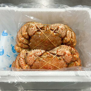 yӂ邳Ɣ[Łz [kCY] lŖт Iׂ 300g ~ 400g × 2  600 ~ 700g × 2  ъI уKj   Jj I  O CN {C 䥂ŊI 䥂ł 䥂ŃKj kC s