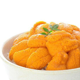 【ふるさと納税】 エゾバフンウニ塩水パック50〜60g×2P A-06011