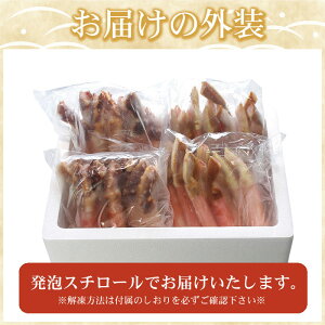 yӂ邳Ɣ[ŁzNz [H] ΁E{킢_ge 400g ( v 800g ) ` e400g×2P (v1.6kg)΂ ^o ^oKj ^oI  Jj I YC YCKj 킢