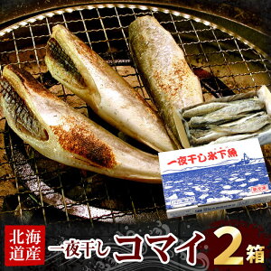 yӂ邳Ɣ[Łz 銱܂ 500g × 2P R}C X JJC   TJi   ܂ kC s ӂ邳Ɣ[
