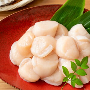 yӂ邳Ɣ[Łz hgقĊL 300ghggEgT[ 1 ~ 2P ( v 600g ) z^e ق  L z^eL L   TP Ⴏ VP   TJi  O