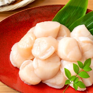 yӂ邳Ɣ[Łz hgقĊL 300g × 2PhggEgT[ 2 ~ 3P ( v 800g ) z^e ق  L z^eL L  O CN kC s ӂ邳Ɣ[ B-09