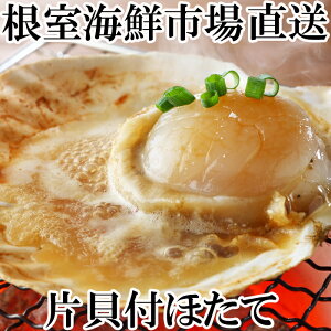 yӂ邳Ɣ[ŁzЊLق 10  × 2P z^e ق  L قĊL L z^eL kt F[Ă  O kC s ӂ邳Ɣ[ A-11121