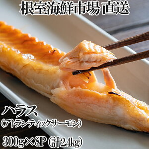 yӂ邳Ɣ[Łz YÉT[nX ( AgeBbNT[ ) 300g × 8P ( v 2.4kg )   TP Ⴏ VP   TJi n~    O CN kC