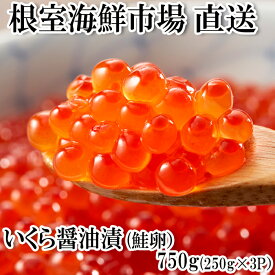 楽天市場 魚介類 水産加工品 食品 の通販 楽天市場 魚介類 水産加工品 食品 の通販