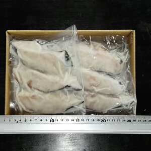 yӂ邳Ɣ[Łz ₾甔ЂE₾琼ЂZbg (  4  × 1P E 4  × 1P ) (  4  × 2P E 4  × 2P )  ^ L 񂾂 _ M_ L   TJ