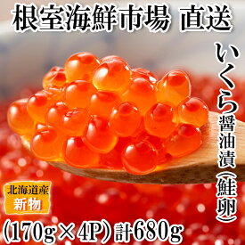 【ふるさと納税】いくら醤油漬け(秋鮭卵)(新物)170g×4P(計680g) B-11050