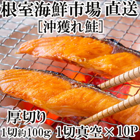 【ふるさと納税】天然沖獲れ鮭1切×10P(約1kg) B-11060