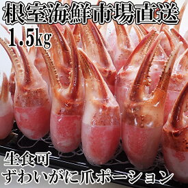 【ふるさと納税】生食用本ズワイガニ爪ポーション1.5kg B-11086