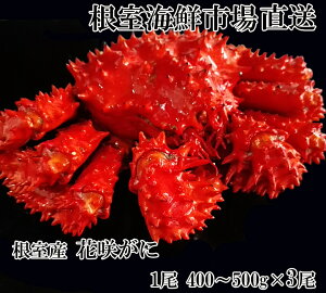 yӂ邳Ɣ[Łz [kCY] ԍKj 400 ~ 500g × 3  ԍ炪 ԍ ԍ炩 ԍI  Jj I  O CN kC s ӂ邳Ɣ[ B-11119