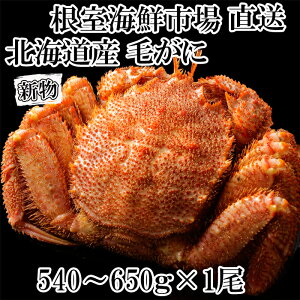 yӂ邳Ɣ[Łz{Cт540`650g×1 B-11120