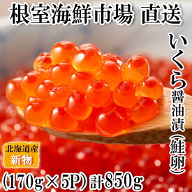 【ふるさと納税】いくら醤油漬け(秋鮭卵)(新物)170g×5P(計850g) C-11022