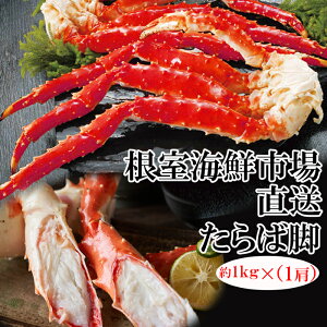 yӂ邳Ɣ[Łz {C΂ɋr 1kg × 1   ^o ^oKj ΊI ^oI  Jj I  O CN 䥂ŊI 䥂ł 䥂ŃKj kC s ӂ邳Ɣ[