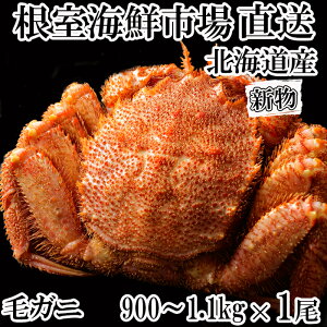 yӂ邳Ɣ[Łz{Cт900g`1.1kg×1 F-11029
