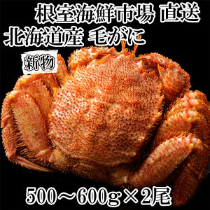 yӂ邳Ɣ[Łz{Cт500`600g×2 F-11030