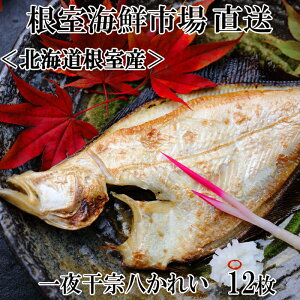 yӂ邳Ɣ[Łz [kCY] 銱@ꂢ 12   O CN  TJi   JC 銱  kC s ӂ邳Ɣ[ G-11006