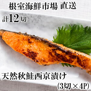 yӂ邳Ɣ[Łz VRHЂ 3 ؐ^ × 4P ( v 12  )   TP Ⴏ VP   TJi H H HUP  ALUP  O CN X т̂ 