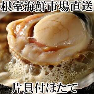 yӂ邳Ɣ[Łz ЊLق 10  × 2  L  O CN z^e ق  L قĊL z^eL kt F[Ă kC s ӂ邳Ɣ[ A-14134
