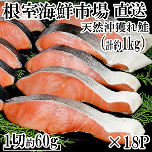 yӂ邳Ɣ[Łz ÎVRl 1  × 18P (  1kg )   TP Ⴏ VP   TJi ǂUP ǂꂴ tUP t t sm  gLVY Ƃ炸 
