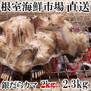 yӂ邳Ɣ[Łz ₾J} 2.3kg  ^ L 񂾂 _ M_ L   TJi  O CN  Ă kC s ӂ邳Ɣ[ A-14151