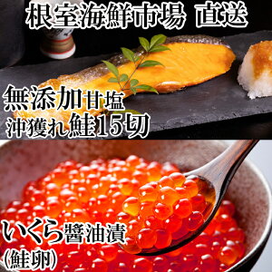 yӂ邳Ɣ[Łz ݖЂ (  ) 70g × 2PAYVRÉl 15  CN ݖ ݖ   TP Ⴏ VP   TJi ǂUP ǂꂴ tUP t t