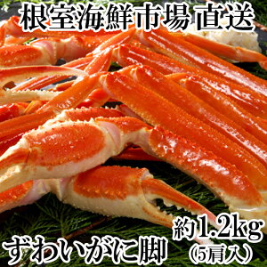 yӂ邳Ɣ[Łz {C{킢ɋr 5  ( v 1.2kg ) YCKj YC 킢 YCI 킢I  Jj I  O CN 䥂ŊI 䥂ł 䥂ŃKj kC s ӂ