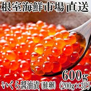 yӂ邳Ɣ[Łz N 12 ͂Aʌł\t ݖЂ 200g × 3P ( v 600g ) CN ݖ ݖ    O CN kC s ӂ邳Ɣ[ B-14012