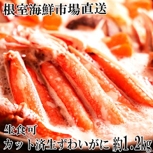 yӂ邳Ɣ[Łz HIJbgςݐ킢ɖ 1.2kg ( hgEĂKjEJj瓙 ) YCKj YC 킢 YCI 킢I  Jj I  O CN hg kC 