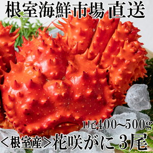 yӂ邳Ɣ[ŁzNz [kCY] ԍKj 400 ~ 500g × 3  ԍ炪 ԍ ԍ炩 ԍI  Jj I  O CN kC s ӂ邳Ɣ[ B-14122