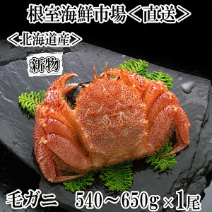 yӂ邳Ɣ[ŁzNz{Cт540`650g×1 B-14123