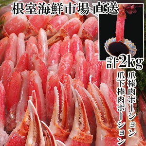 yӂ邳Ɣ[Łz {YCKj ( ܖ_|[VE܉_|[V ) 2kg Zbg 킢 YC 킢 YCI 킢I  Jj I  O CN hg Xe[L kC
