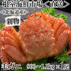 yӂ邳Ɣ[Łz{Cт900g`1.1kg×1 F-14029