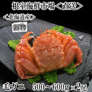 yӂ邳Ɣ[Łz{Cт500`600g×2 F-14030