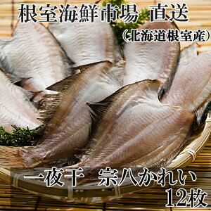 yӂ邳Ɣ[Łz [kCY] 銱 @ ꂢ 12  JC 銱   O  CN Hi kC s ӂ邳Ɣ[ G-14006