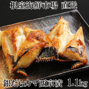 yӂ邳Ɣ[Łz ₾J}Ђ 1.1kg  ^ L 񂾂 _ M_ L   TJi  O CN   Ă kC s ӂ邳Ɣ[ G-14009