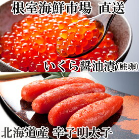 【ふるさと納税】 いくら醤油漬け ( 鮭卵 ) 70g × 1P、辛子明太子 300g × 1P からし明太子 辛子めんたいこ からしめんたいこ 明太子 めんたいこ 鱈卵 イクラ 醤油 醤油漬 魚卵 グルメ 海鮮 ご飯のお供 北海道 根室市 G-14063