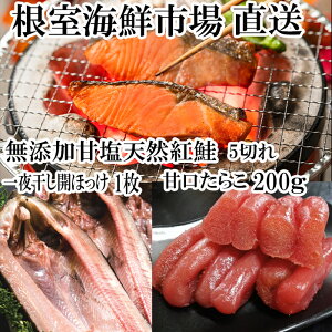 yӂ邳Ɣ[Łz YVRÉg 5  × 1PAÌ炱 200g × 1PA銱Jق 1  TP  Ⴏ VP zbP   TJi q ^R Lq  т̂ 