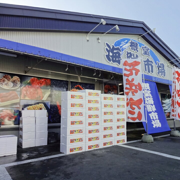 楽天市場】【ふるさと納税】根室海鮮市場<直送>紅鮭切身10切・沖獲れ鮭切身10切・秋鮭切身10切(計30切、約1.5kg) A-28001 : 北海道 根室市 楽天市場】【ふるさと納税】根室海鮮市場<直送>紅鮭切身10切・沖獲れ鮭切身10切・秋鮭切身10切(計30切、約1.5kg) A-28001 : 北海道 根室市