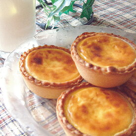 【ふるさと納税】 なまチーズタルト ココチーズ タルト チーズ 焼き菓子 洋菓子 洋生菓子 クリームチーズ スイーツ お菓子 お取り寄せ グルメ 北海道 根室市 ふるさと納税 A-17001