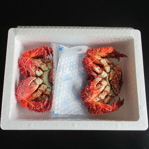 yӂ邳Ɣ[Łz [kCY] ԍ炩 Iׂ 350 ~ 400g × 3  500g O × 2  ԍ炪 ԍKj ԍI  Jj I  O CN {C 䥂ŊI 䥂ł 䥂ŃKj kC 