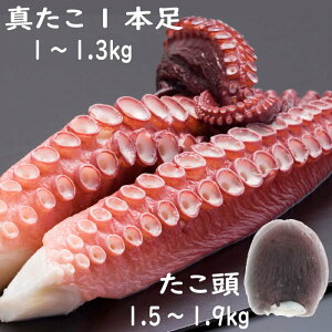 �y�ӂ邳�Ɣ[�Łz�y12��21�����ϊm�蕪�܂ŔN���z���z[�k�C�������Y]�^������1�`1.3kg�E������1.5�`1.9kg�Z�b�g F-19002