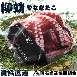 yӂ邳Ɣ[Łz[kCY]{C8t(v8.5kg) E-20005