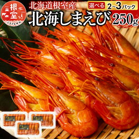 【ふるさと納税】 [北海道根室産] 北海しまえび 250g 選べる 2P ～ 3P エビ えび 海老 シマエビ 北海シマエビ しまえび 縞えび 縞エビ 縞海老 お取り寄せ グルメ 海鮮 ボイル 茹でえび 茹でエビ 茹で海老 ゆでえび ゆで海老 ゆでエビ 塩ゆで 北海道 根室市 ふるさと納税
