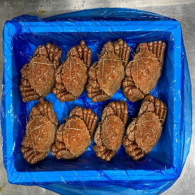 【ふるさと納税】【12月21日決済確定分まで年内配送】 [北海道根室産] 毛がに 選べる 1 尾 ~ 8 尾 カニ 蟹 かに 毛蟹 毛ガニ 海鮮 海産 お取り寄せ グルメ ボイル 茹で蟹 茹でがに 茹でガニ 浜茹で 北海道 根室市 ふるさと納税