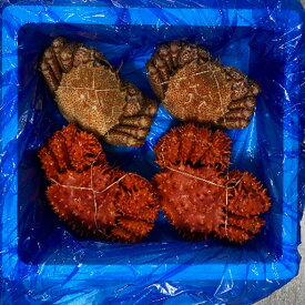 【ふるさと納税】【12月21日決済確定分まで年内配送】 [北海道根室産] 毛がに・花咲がにセット 選べる 350g 前後 × 各 1 尾 〜 500g 前後 × 各 2 尾 毛ガニ 毛蟹 けがに ケガニ 花咲蟹 花咲かに かに カニ 蟹 グルメ 海鮮 ボイル 茹で蟹 茹でがに 茹でガニ 北海道