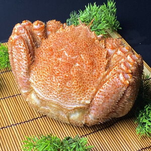 �y�ӂ邳�Ɣ[�Łz�y12��21�����ϊm�蕪�܂ŔN���z���z�т���800g�O��×4�� E-21003