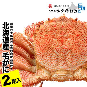 �y�ӂ邳�Ɣ[�Łz�y12��21�����ϊm�蕪�܂ŔN���z���z�т���550g�`650g�O��×2�� C-25026