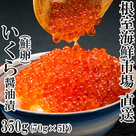 【ふるさと納税】根室海鮮市場＜直送＞いくら醤油漬け(鮭卵)70g×5P(計350g) A-28005